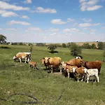 아파트 Roter Milan Kaisitz