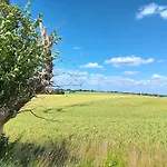 Roter Milan 아파트 *