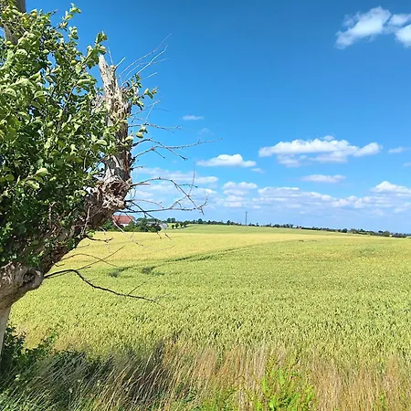 Roter Milan Апартаменты *