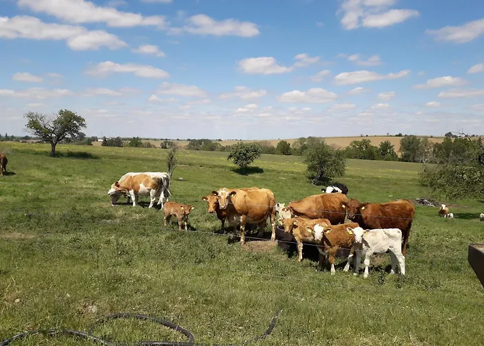 아파트 Roter Milan Kaisitz