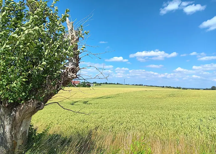 Roter Milan 아파트 *