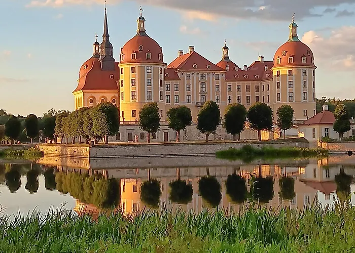 Roter Milan * Kaisitz